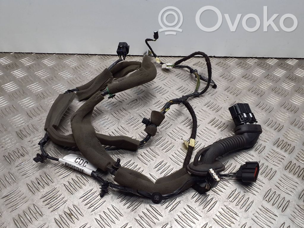 Ford Focus Etuoven johtosarja 