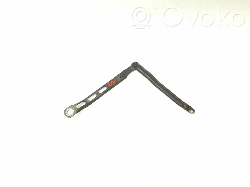 Tailgate/trunk/boot hinge