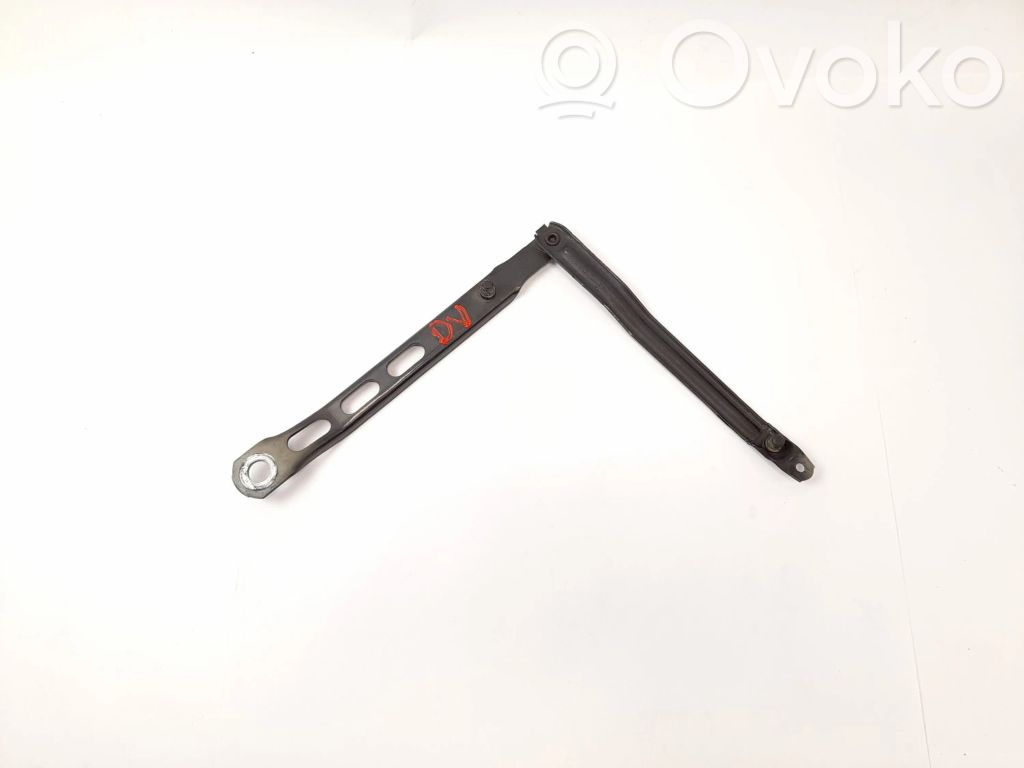 Tailgate/trunk/boot hinge