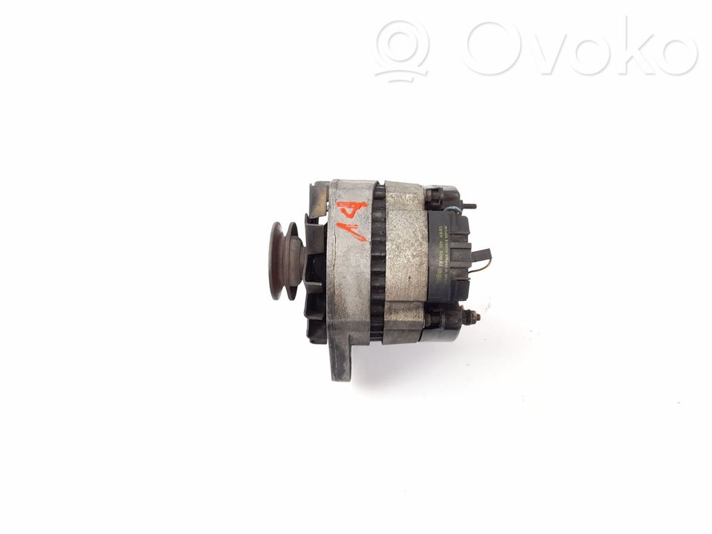 Rover 100 Ģenerators 