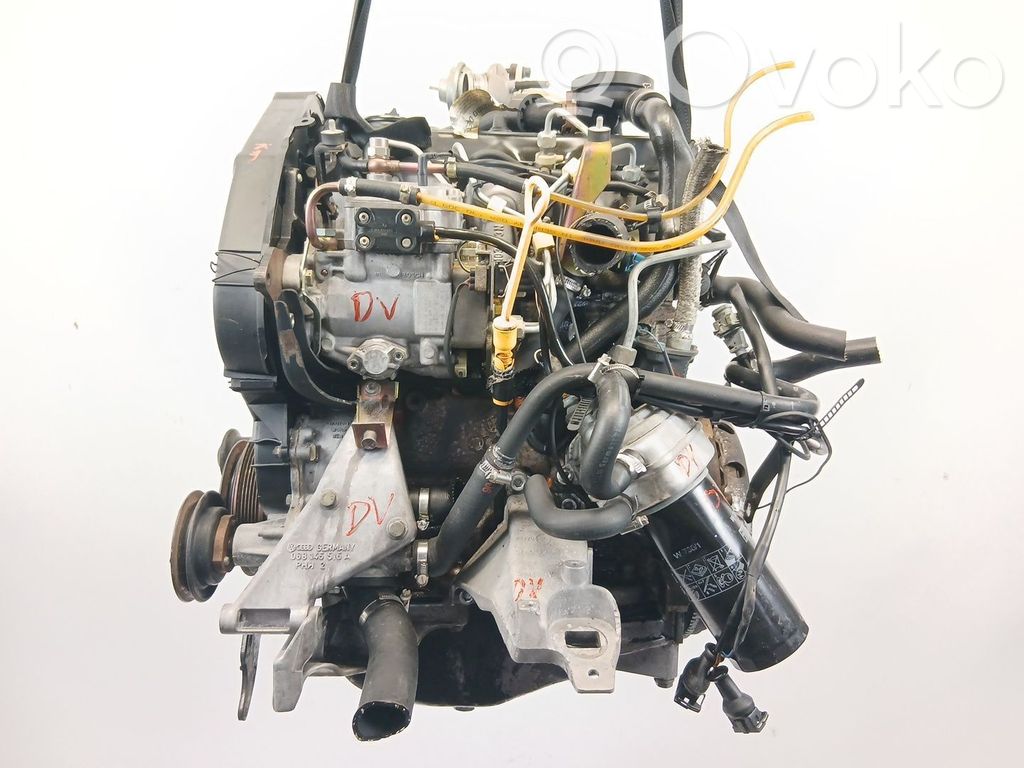 Motor