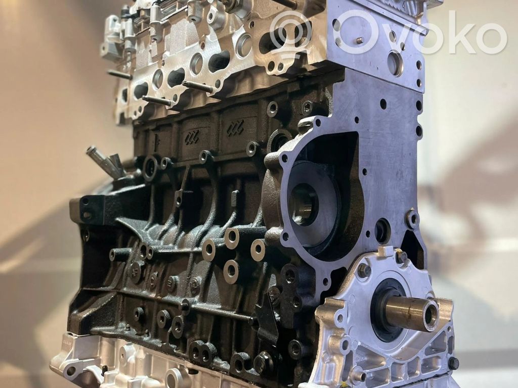 Motor   DW10FCD
