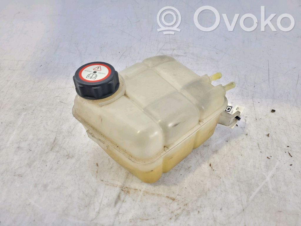Ford Focus Serbatoio di compensazione del liquido refrigerante/vaschetta 