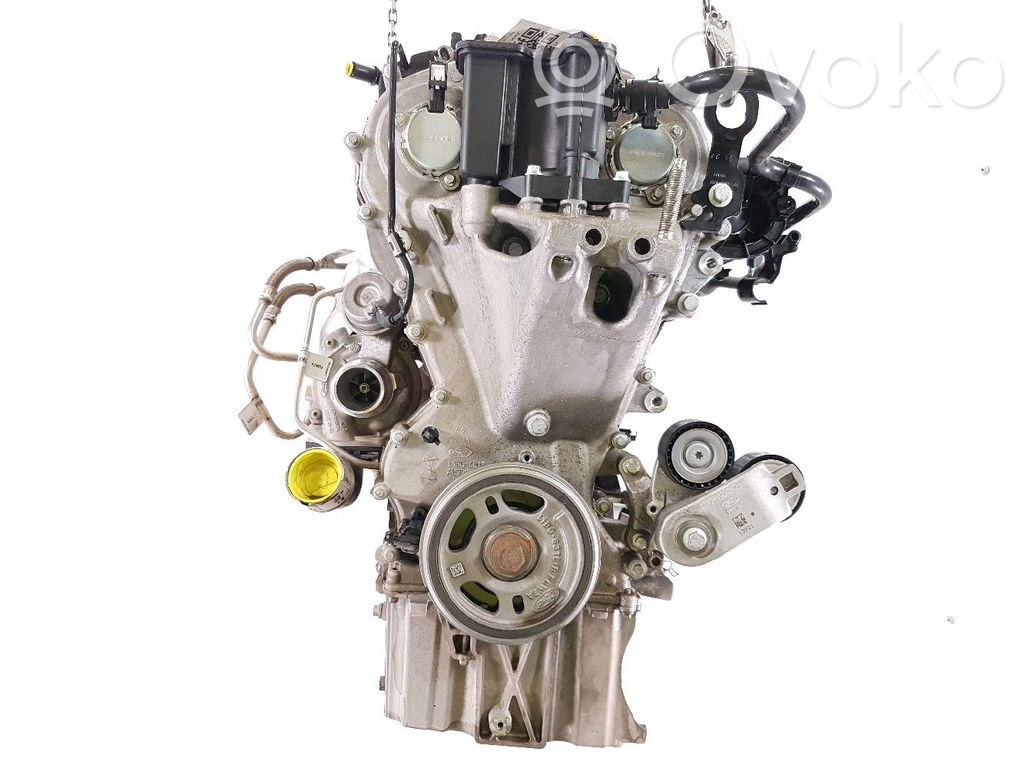 Ford Puma Variklis 