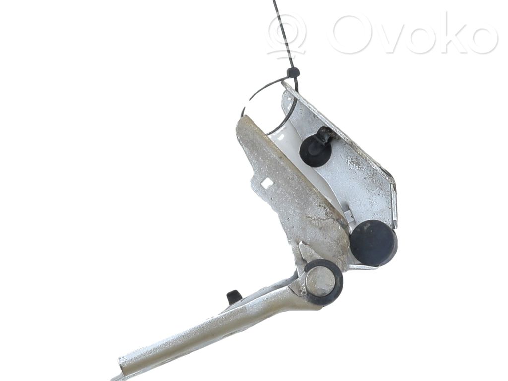 Volkswagen Polo Cerniere del vano motore/cofano