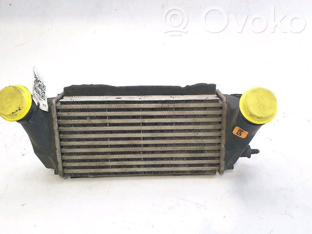 Ford Fiesta Intercooler radiator 