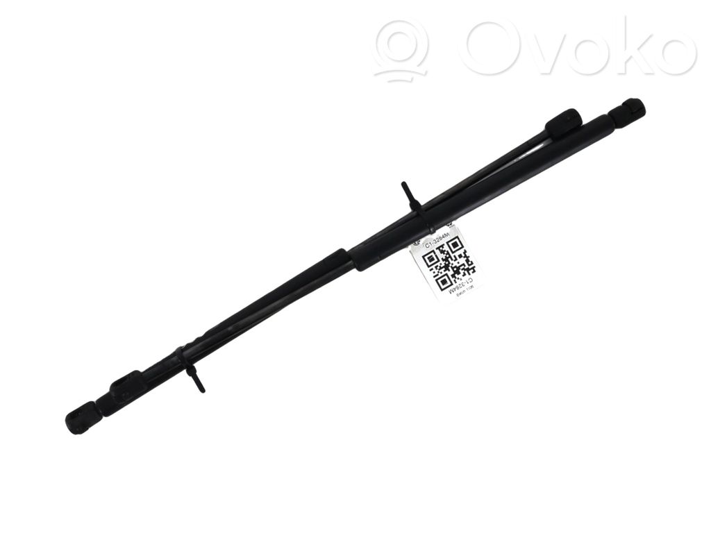 Ford Focus Tailgate strut 