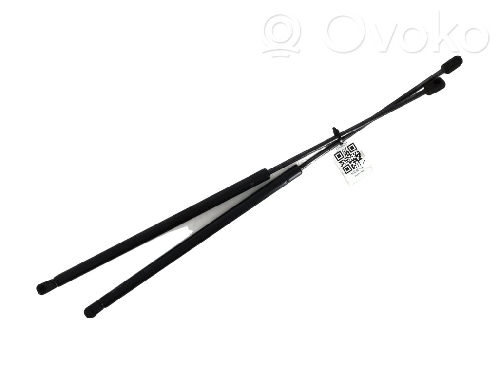 Citroen C4 II Puntone del portellone posteriore