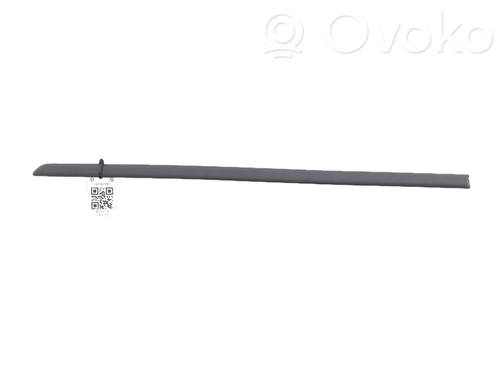 BMW 3 E46 Rear door trim (molding) 