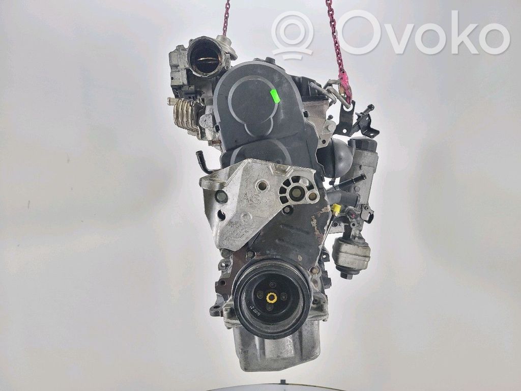 Skoda Octavia Mk2 (1Z) Motore 