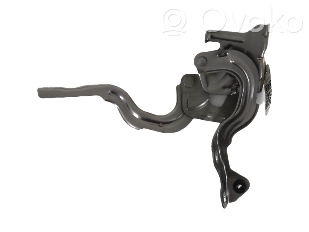 KIA Picanto Engine bonnet/hood hinges 