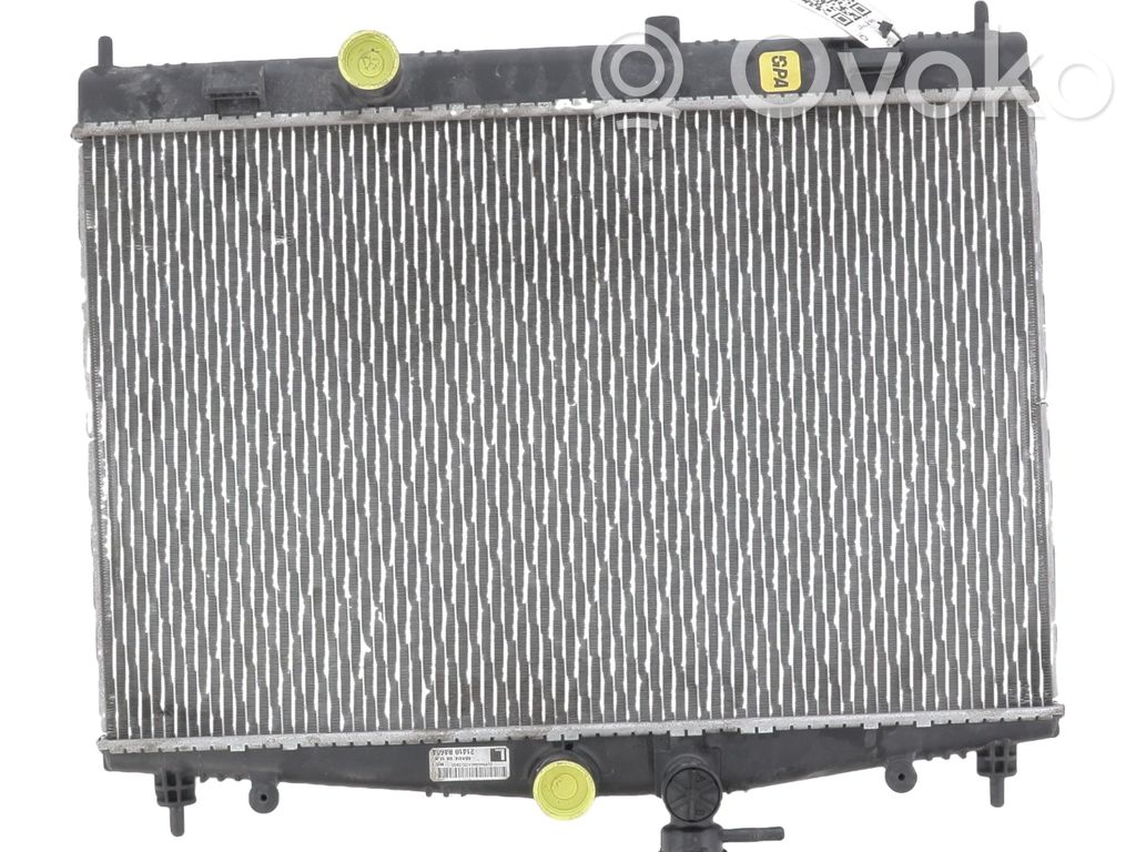 Nissan Juke I F15 Radiator lichid răcire 