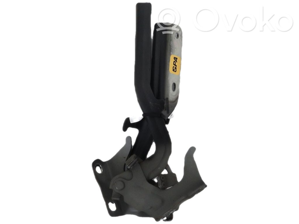 Nissan Juke I F15 Cerniere del vano motore/cofano 