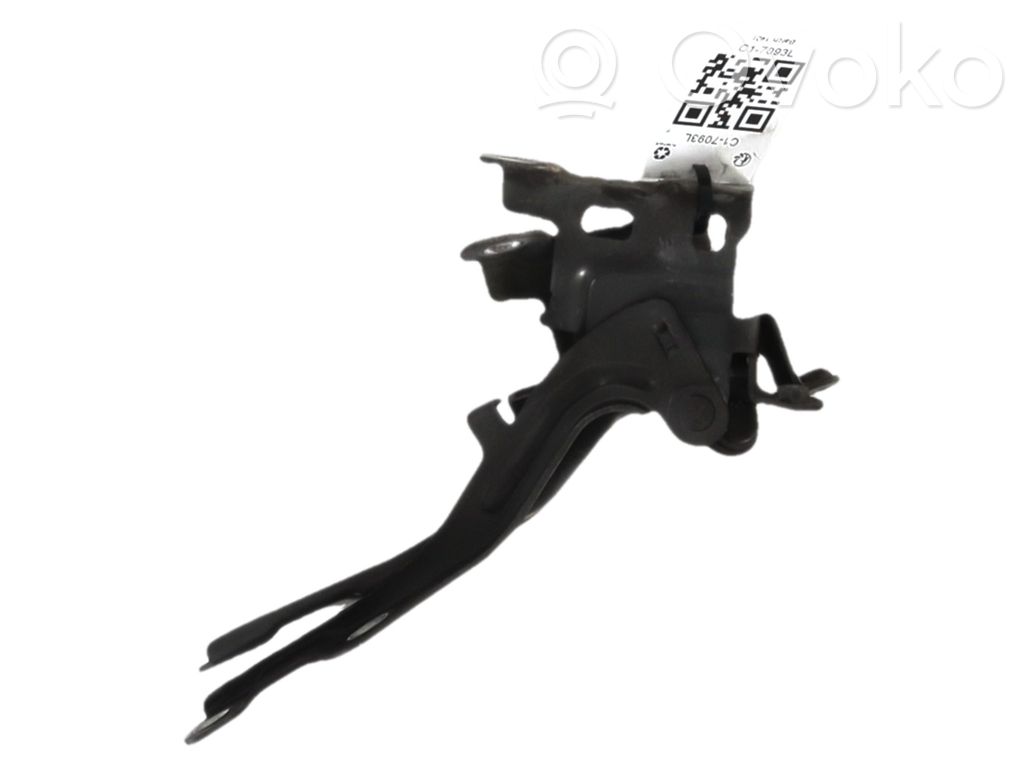 KIA Soul Engine bonnet/hood hinges 
