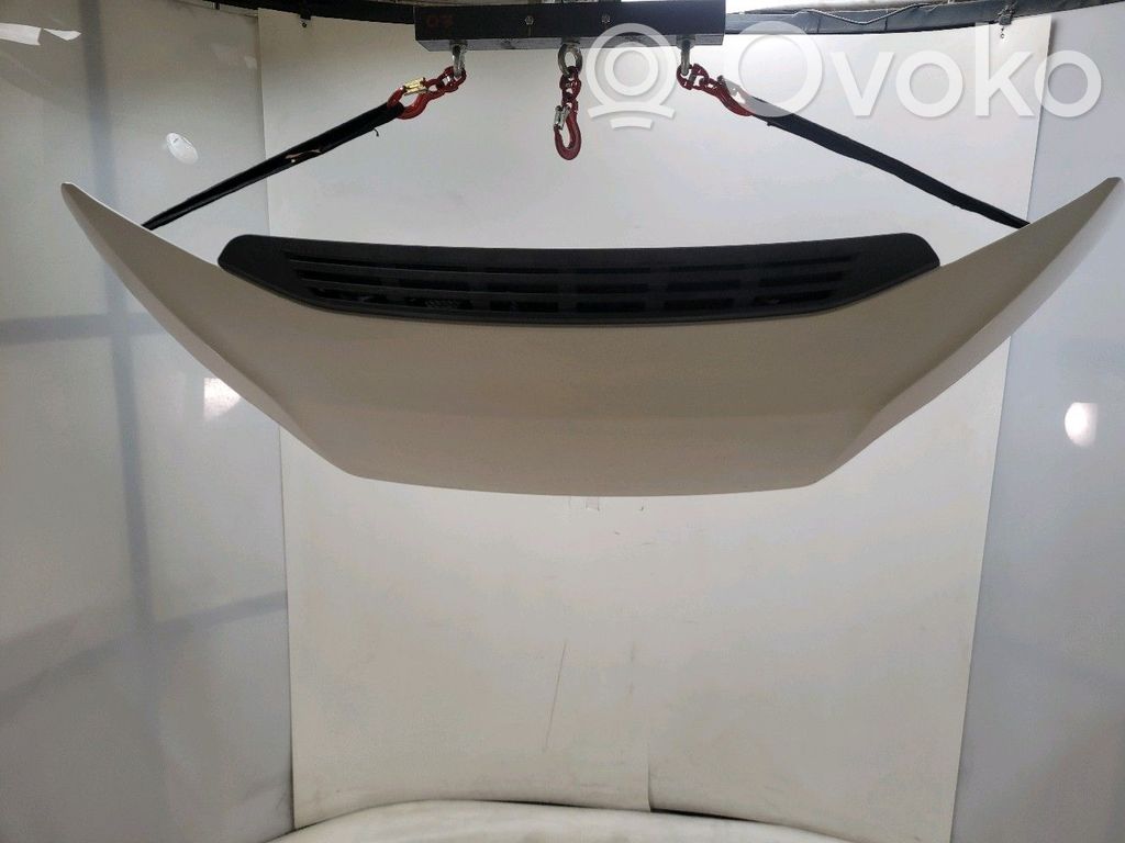 Fiat Ducato Vano motore/cofano 