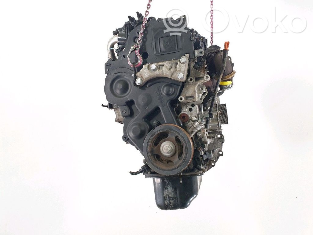 Motor   8HZ,V17981G