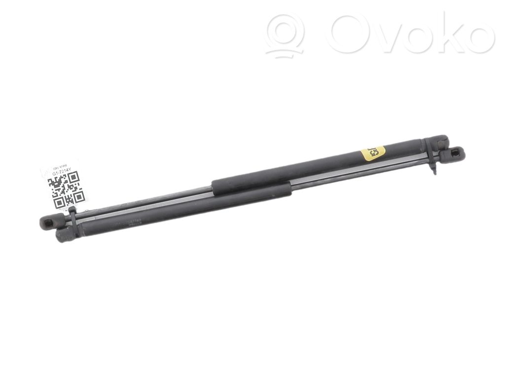 Volkswagen Golf V Jambe de force de hayon