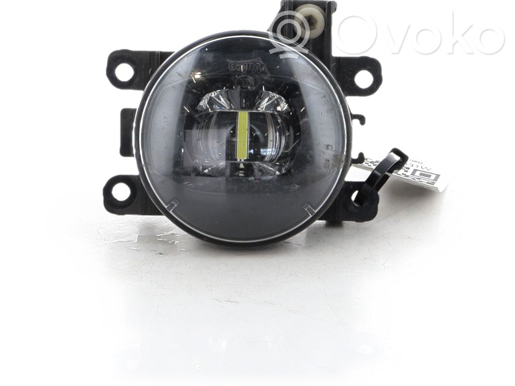 Proiector ceață   261555538R,T11331W