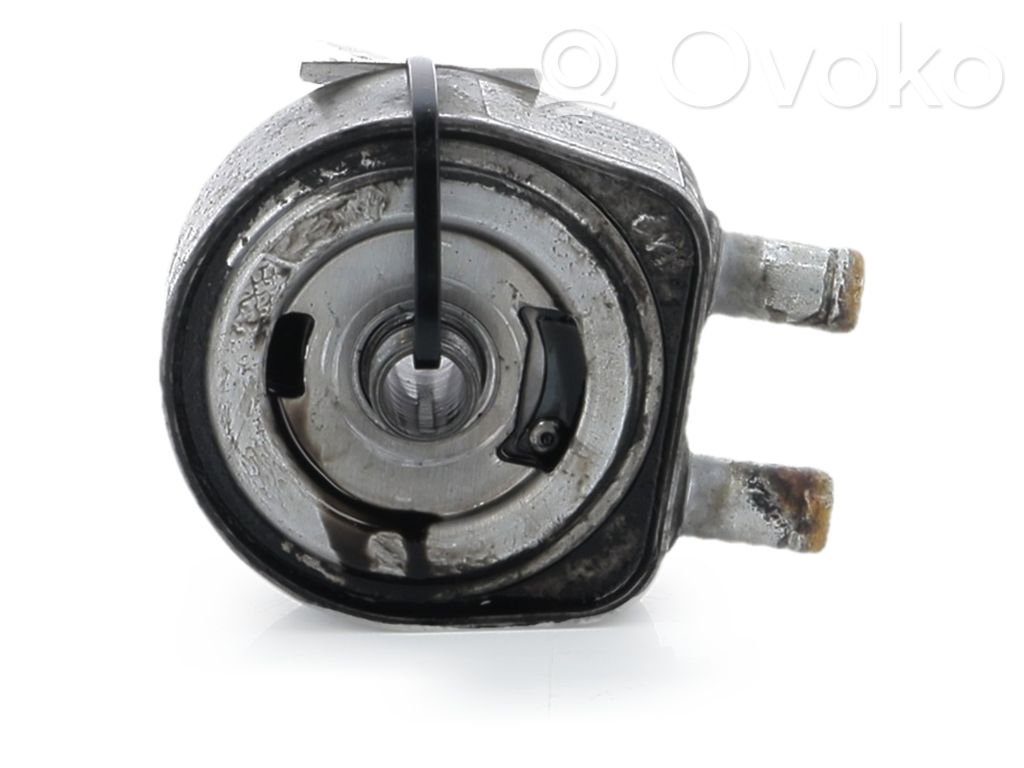 Renault Megane III Supporto di montaggio del filtro dell’olio 