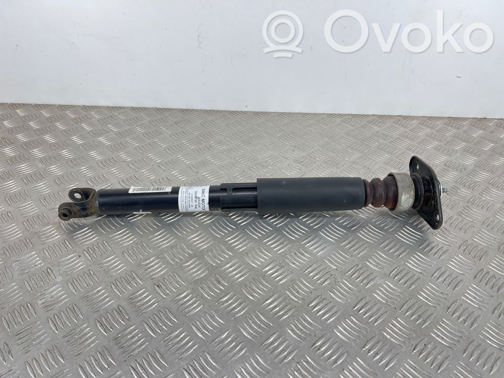 Stoßdämpfer hinten   10598787