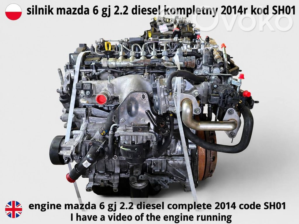 Motor   SH01