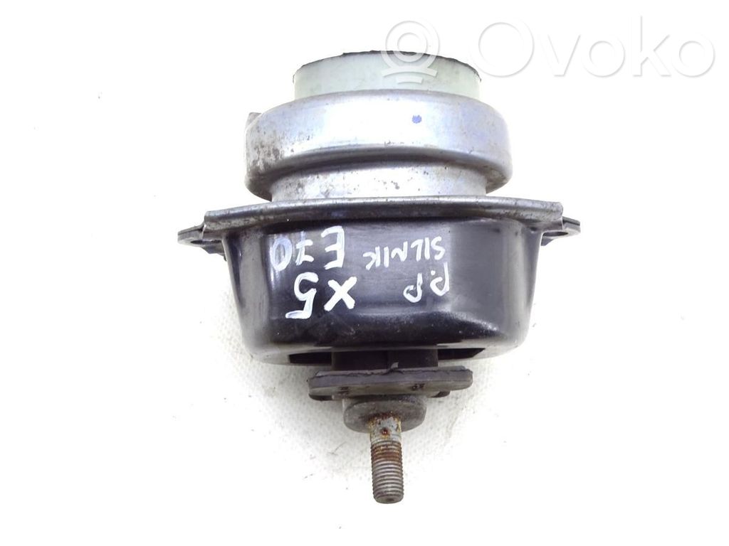 Engine mount vacuum valve   6793642,6793642