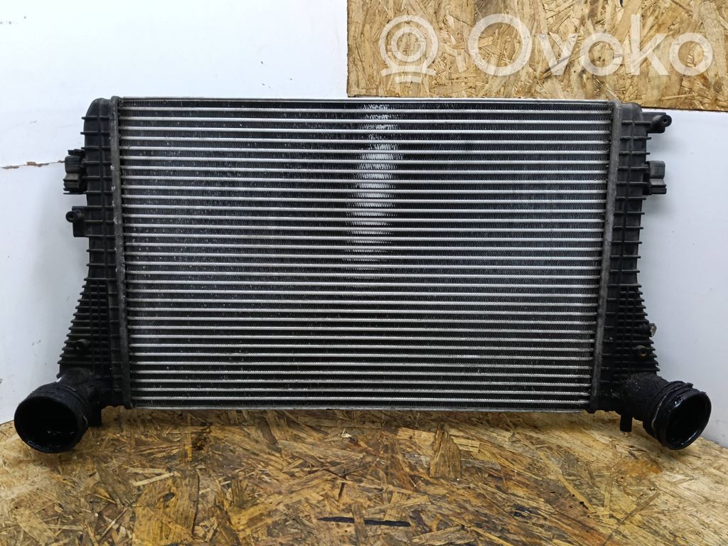 Volkswagen Golf V Chłodnica powietrza doładowującego / Intercooler 