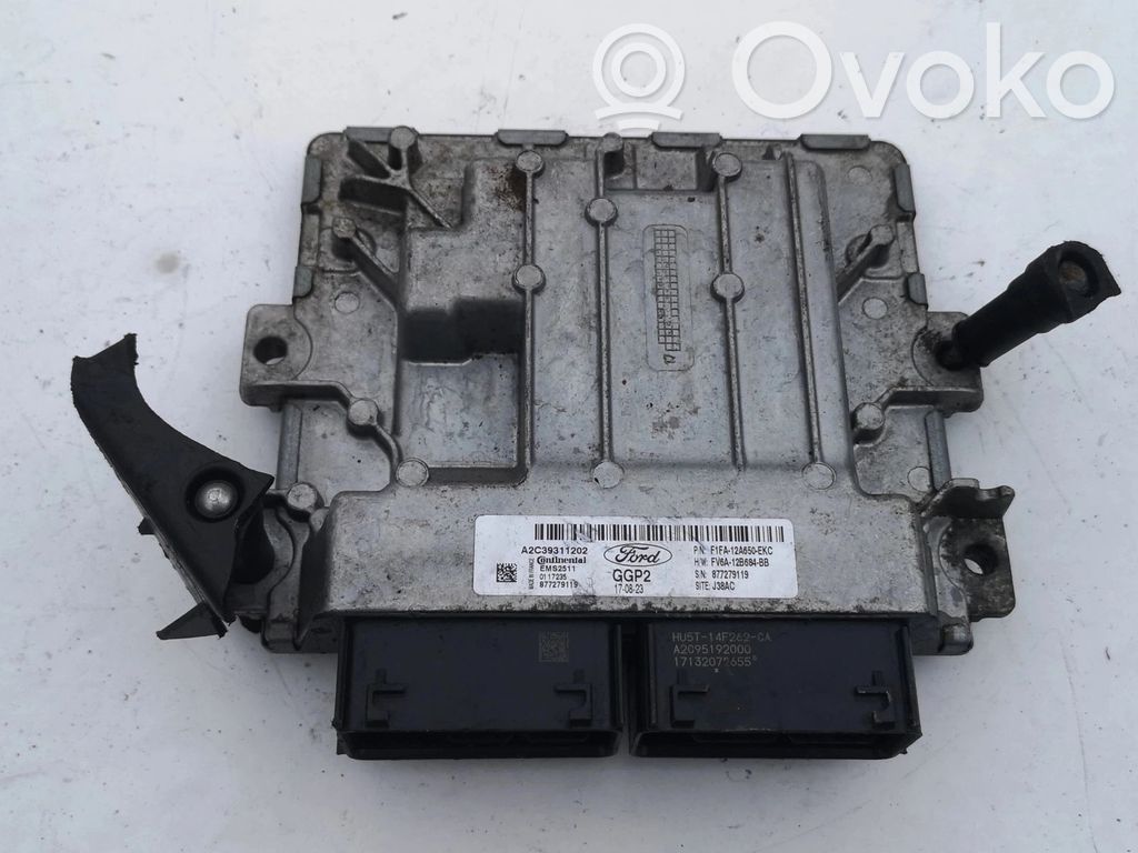 Engine control unit/module ECU