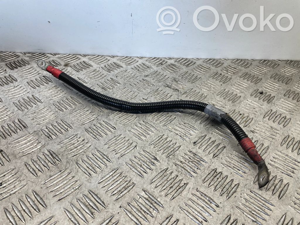 Cables (motor de arranque)   7793200