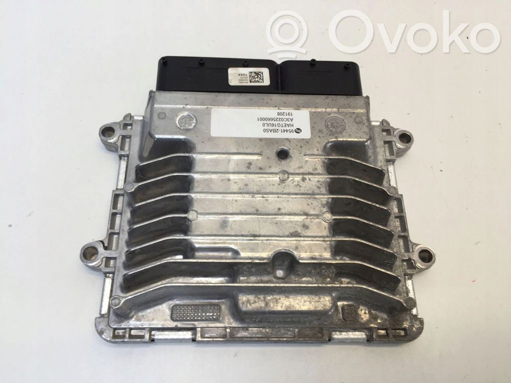 Engine control unit/module   954412BAS0