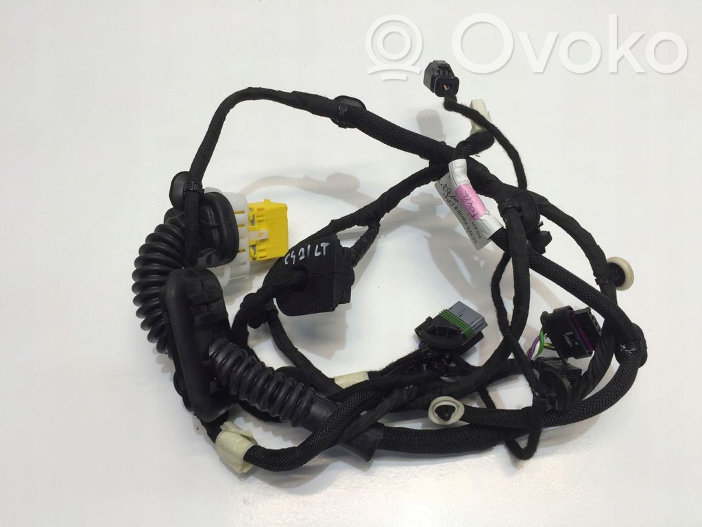 Citroen C4 III e-C4 Aizmugurējo durvju vadu instalācija 