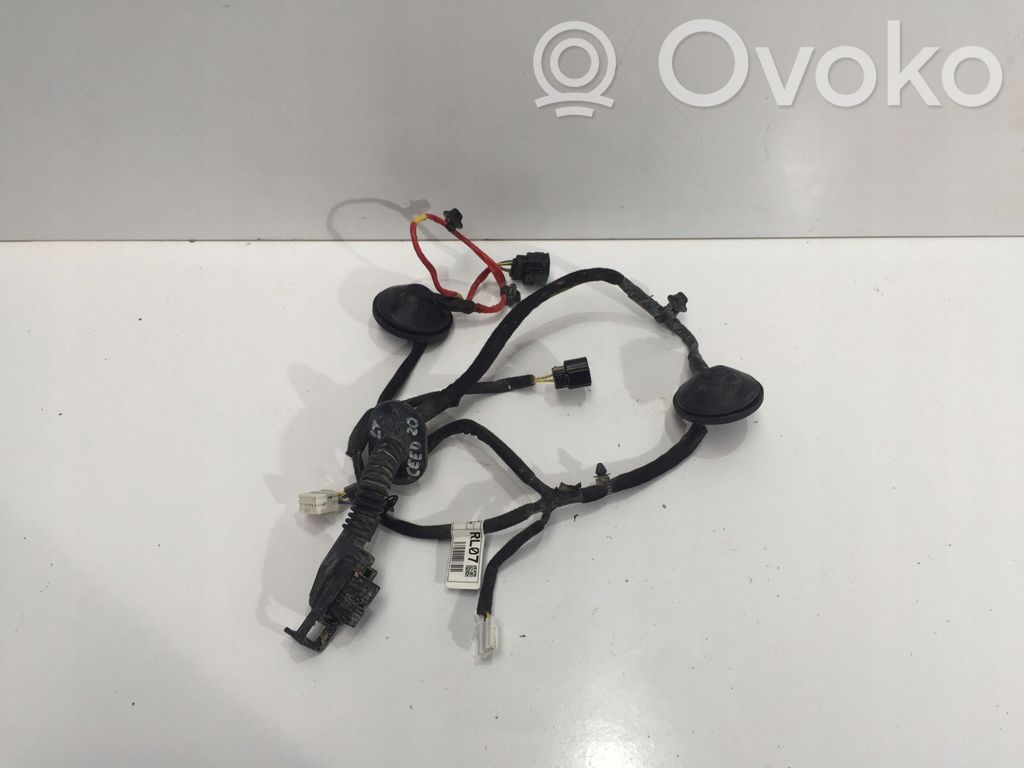 Cableado de puerta trasera   91620J7070