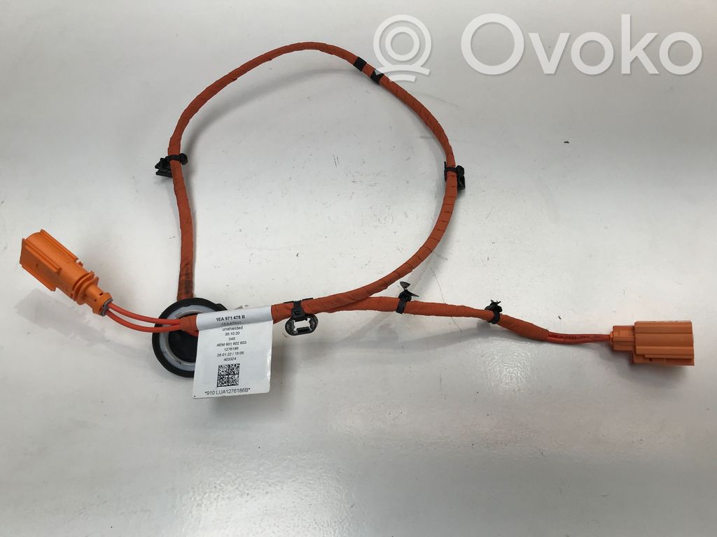 Cupra Born Citi elektroinstalācijas vadi 