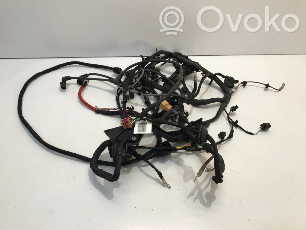Cupra Born Other wiring loom 