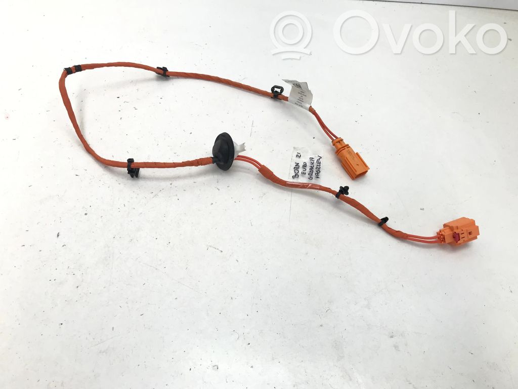 Cupra Born Cableado positivo 