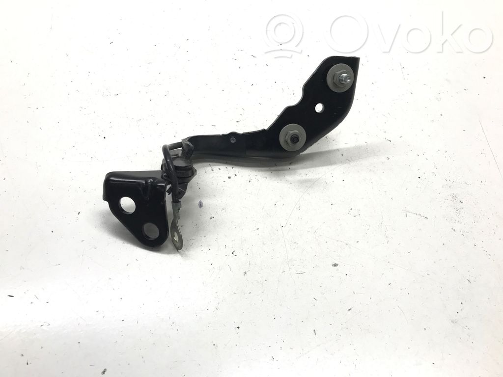 Jaguar I-Pace Tailgate/trunk/boot hinge 