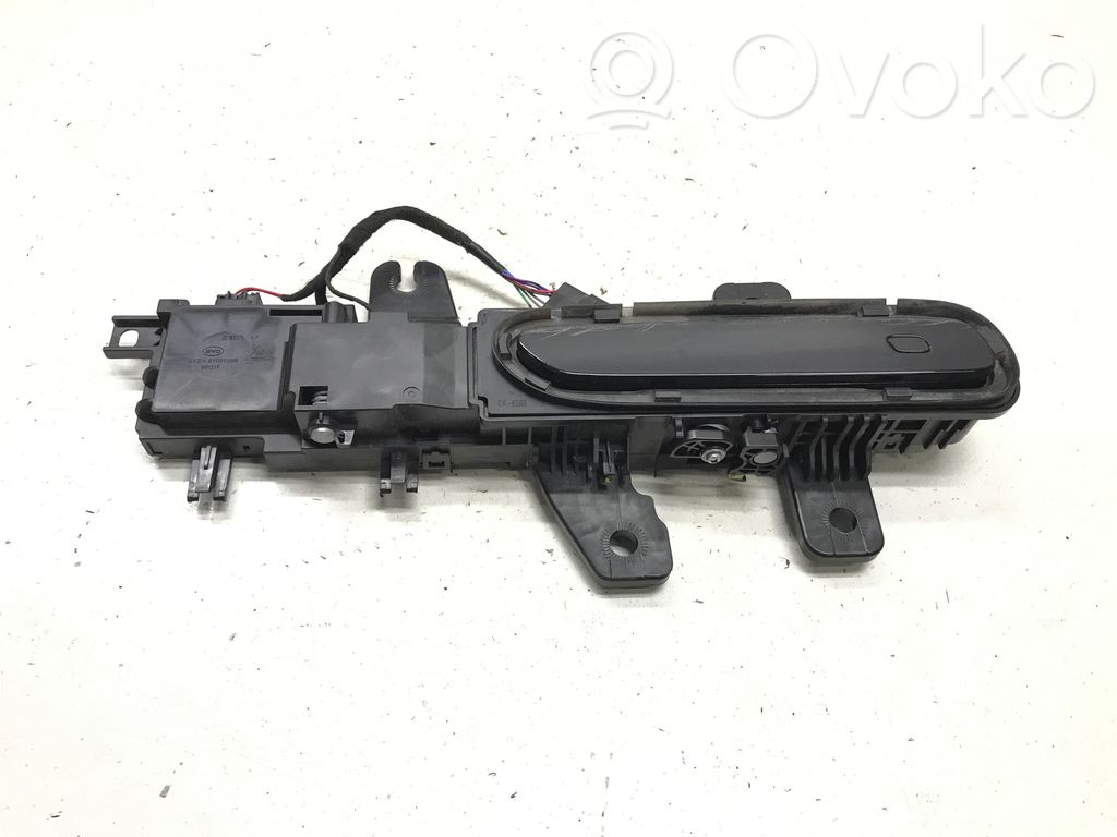 BYD Seal Manecilla externa puerta delantera 