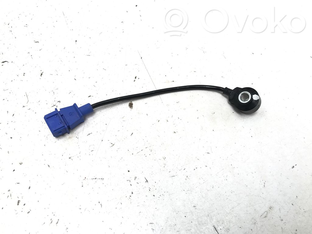 Klopfsensor   0261231213,F01R00G038