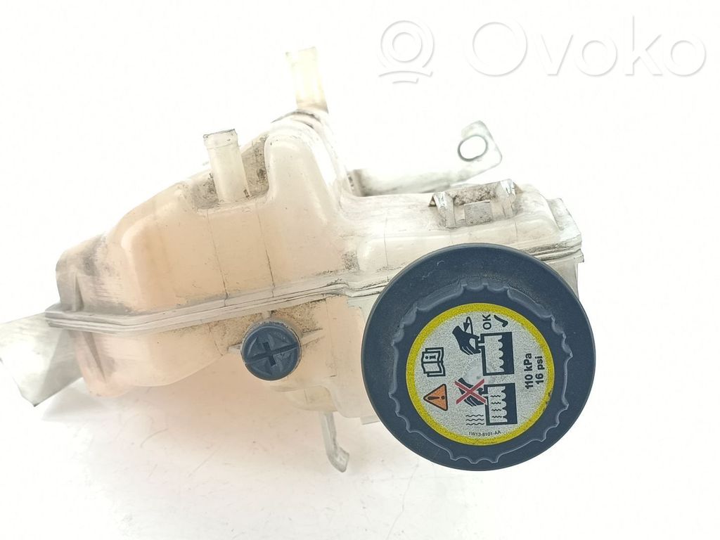 Land Rover Range Rover Sport L320 Vas expansiune combustibil 