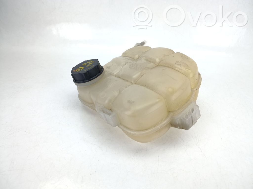 Ford Focus Kuro išsiplėtimo bakelis 