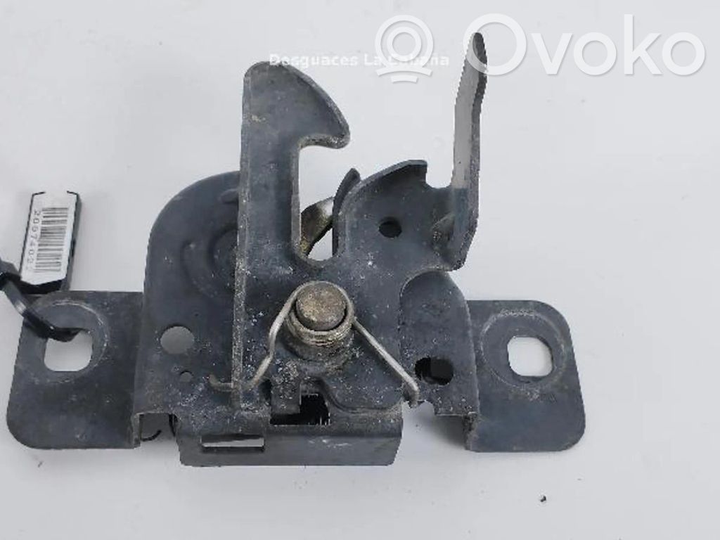 Tie down hook / loop