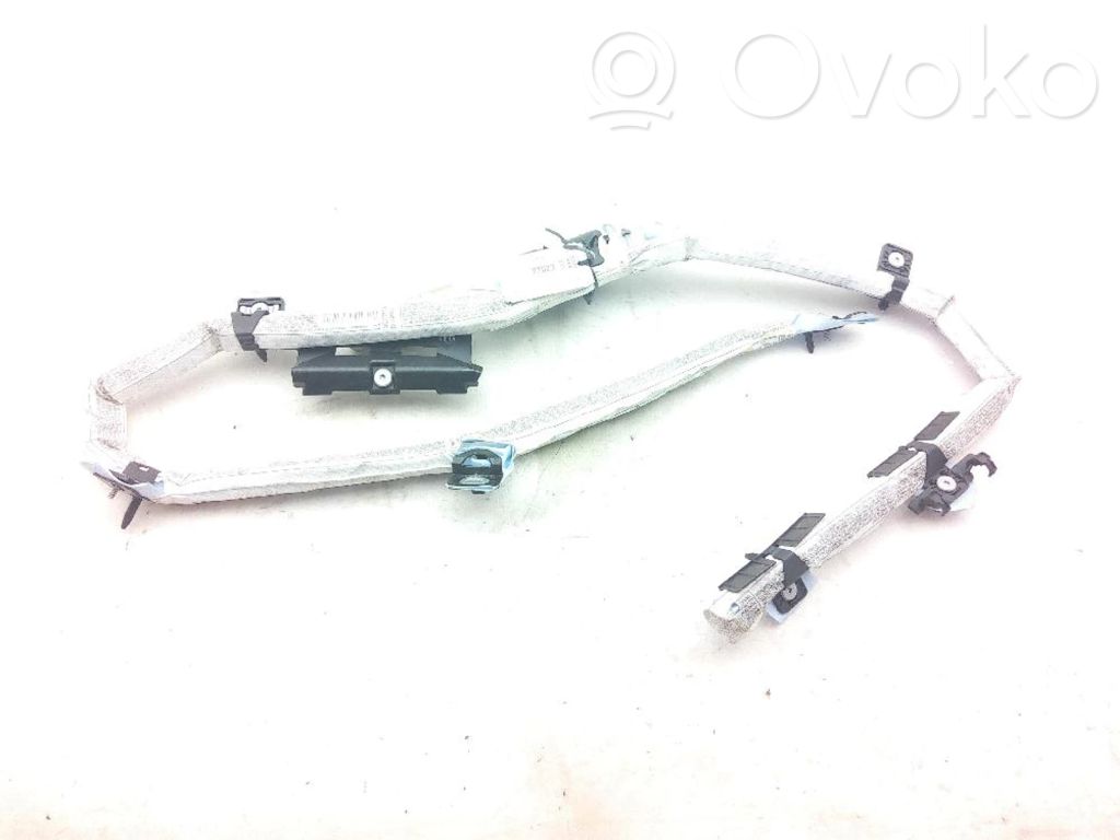 Airbag del techo   856966646040