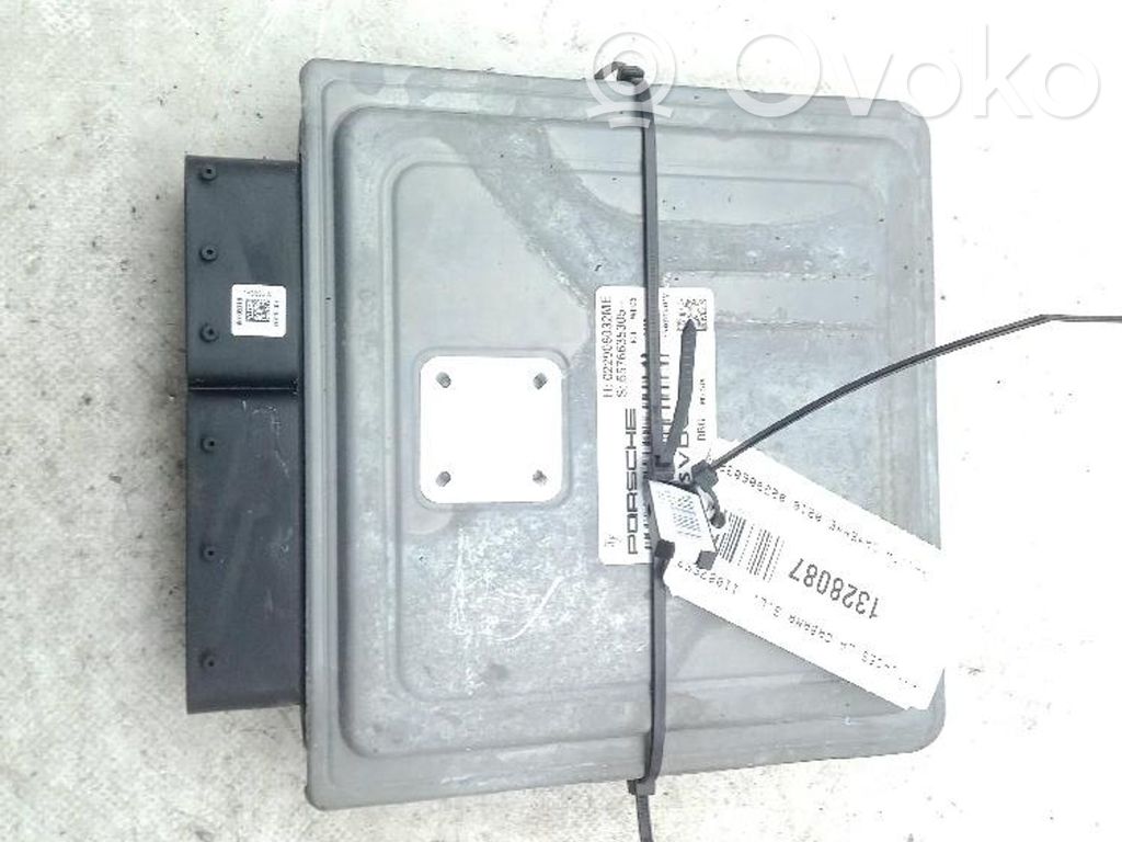 Porsche Cayenne (9PA) Other control units/modules 