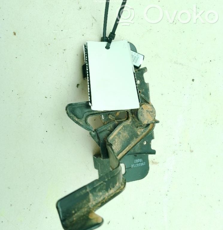 Tie down hook / loop   39088734