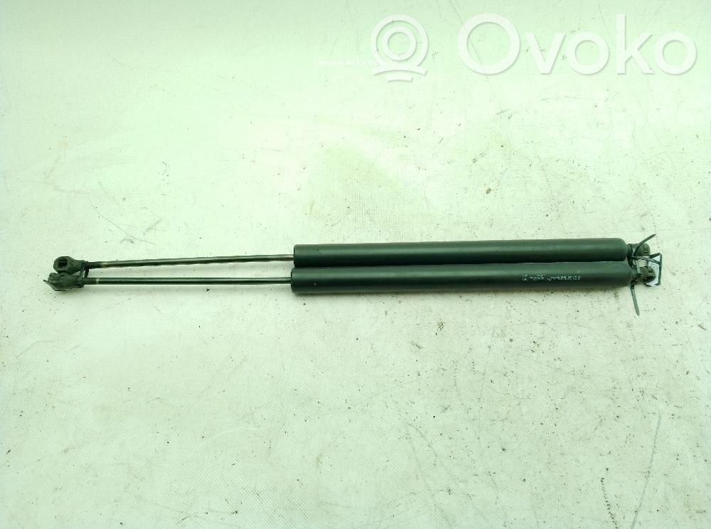 Peugeot Partner Rear window strut damper 