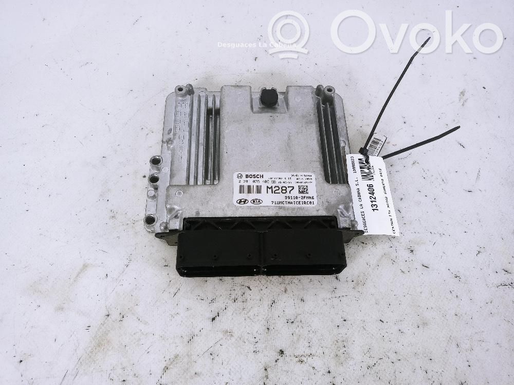 KIA Sorento Other control units/modules 