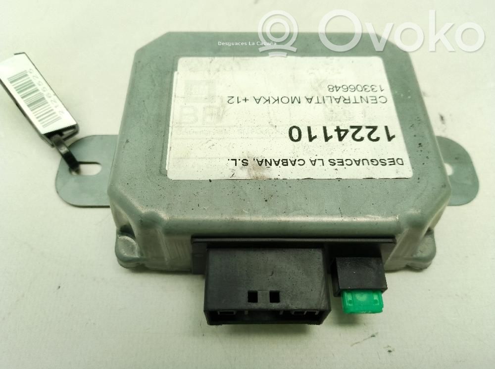 Sonstige Steuergeräte / Module   13306648