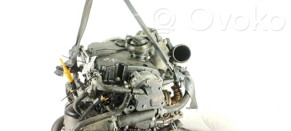 Seat Ibiza III (6L) Moteur 