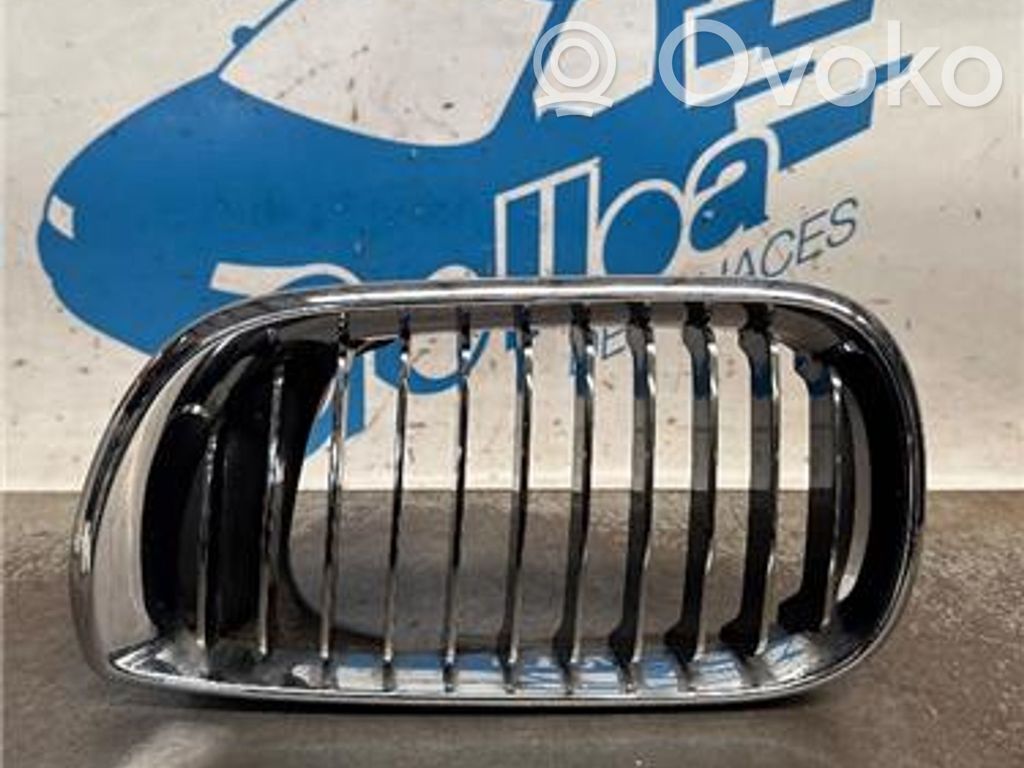 Alpina B3 E46 Front bumper lower grill 