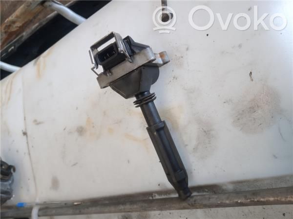 High voltage ignition coil